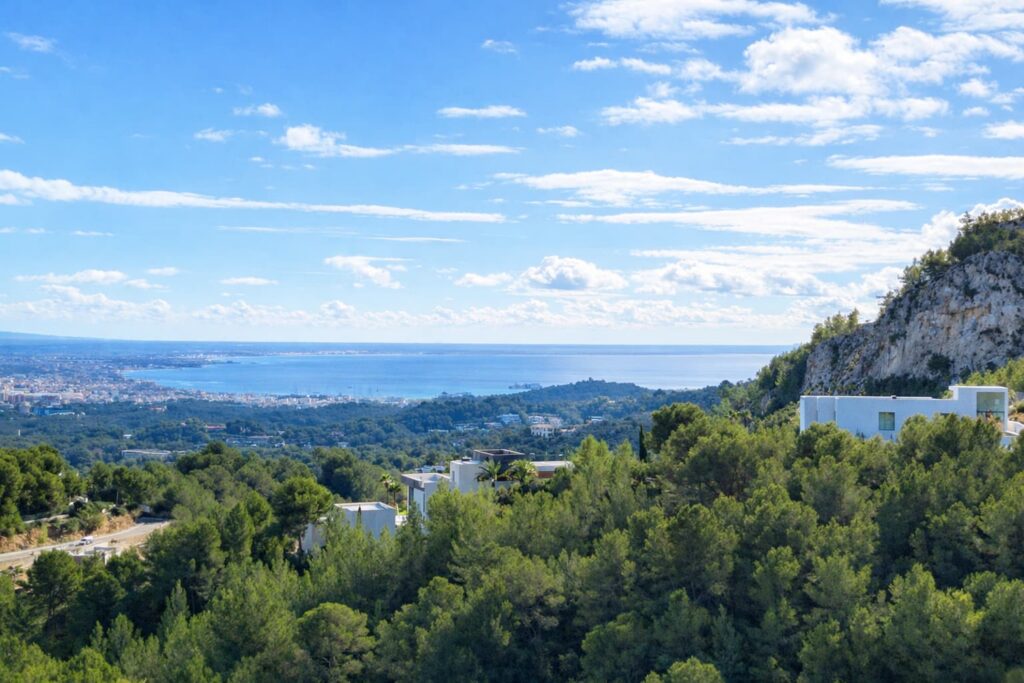Terraza en la azotea con suelo de madera, macetas y muebles de exterior
