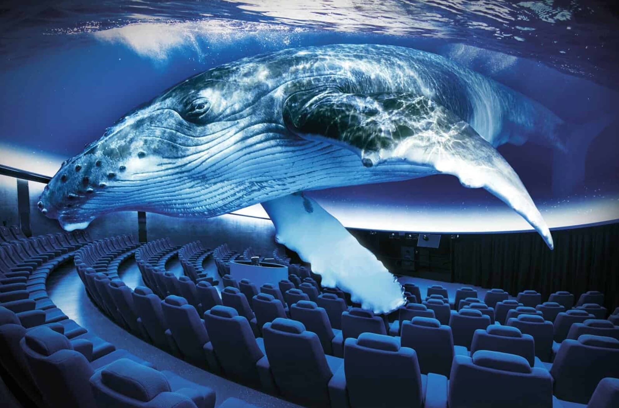 Palma Mallorca aquarium