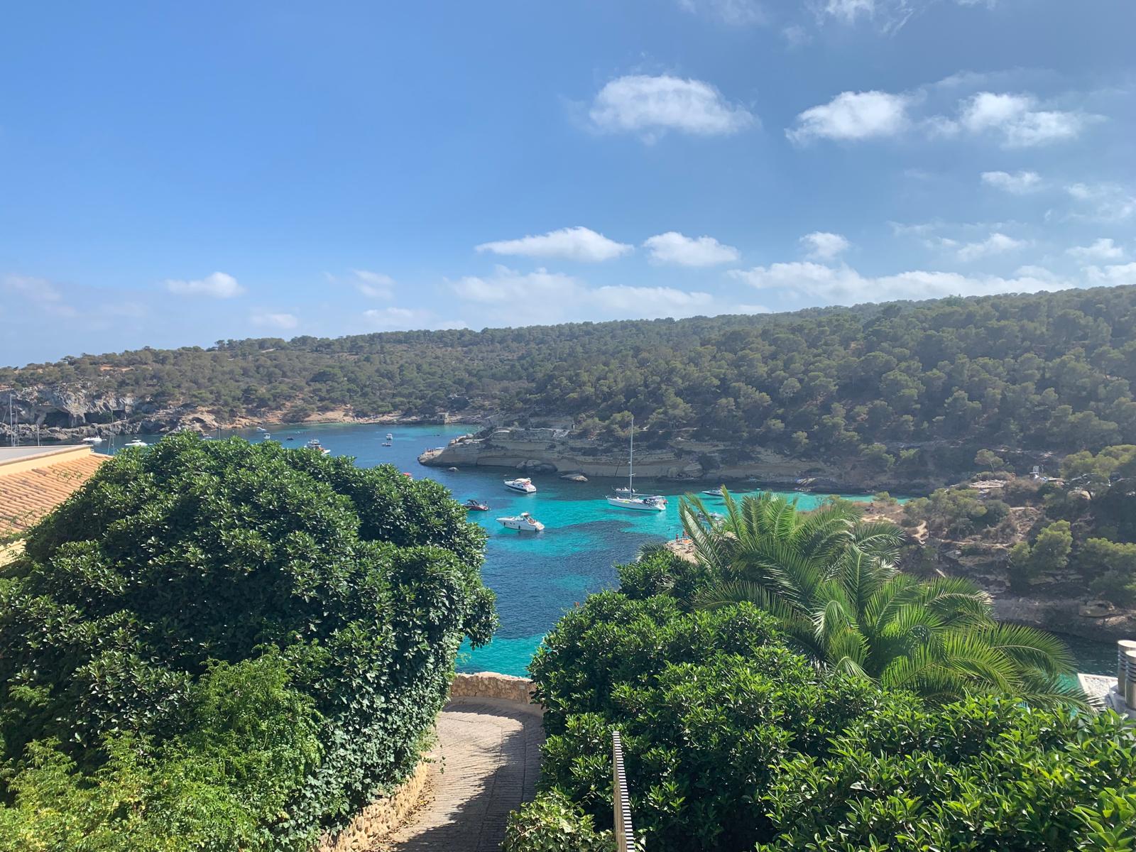 Schmaler Pfad durch grüne Küstenlandschaft mit Blick auf eine Bucht mit Booten und Felsküste