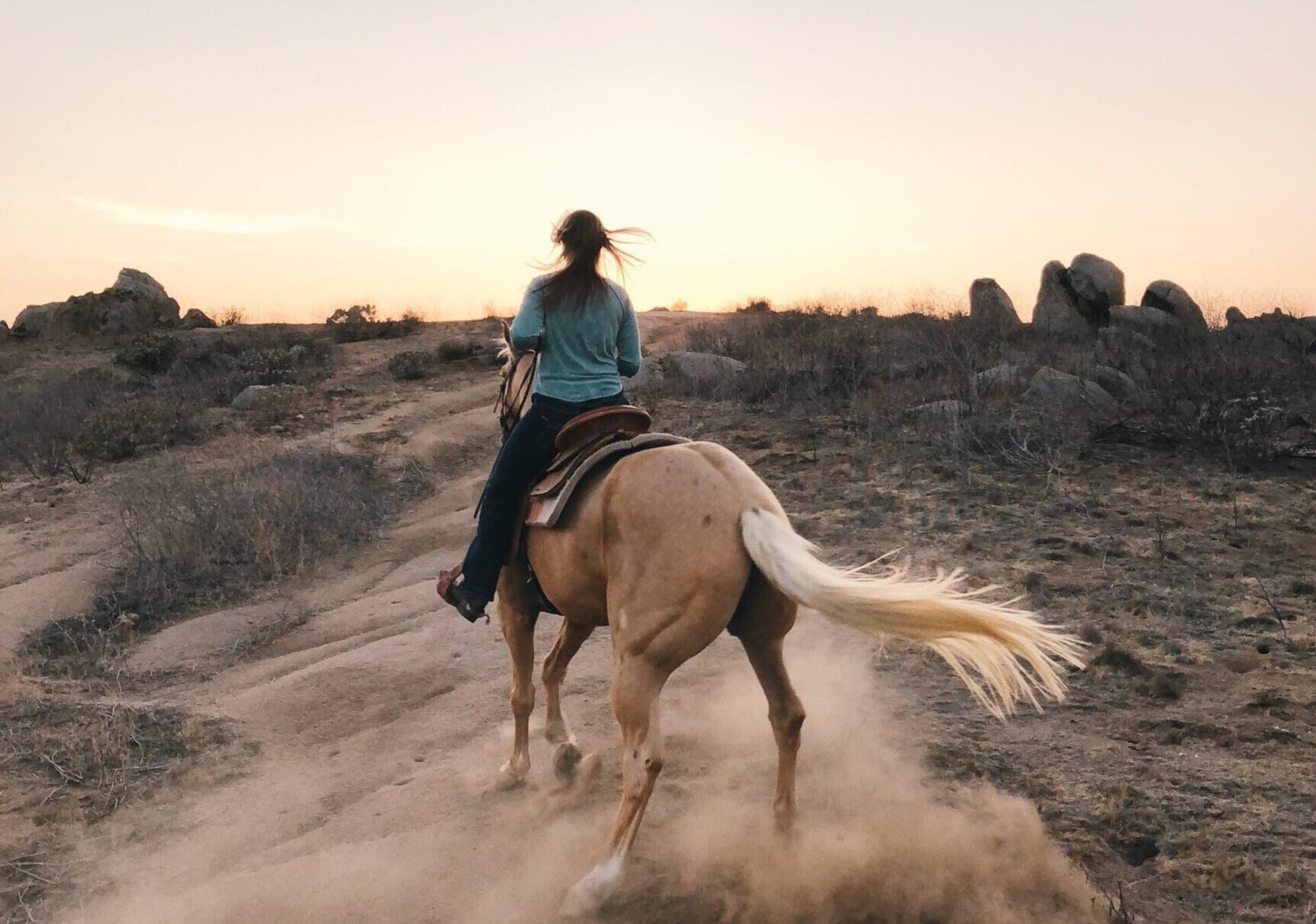 evento de equitación en Mallorca